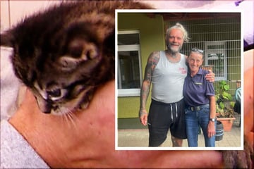 "Könnte zur Straftäterin werden": Tierheimleiterin außer sich vor Wut