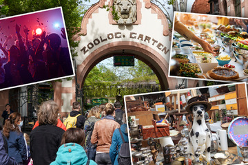 Leipzig: Easter is just around the corner: These parties, markets and events attract visitors to Leipzig on Saturday!