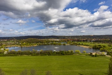 Badeseen in Dresden: Tipps für Familien, Hundehalter und Sportler