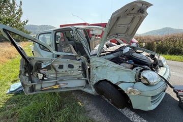 Hund springt auf den Beifahrersitz, Fiat kracht gegen Baum