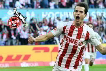 Für mehr als fünf Millionen Euro: 1. FC Köln tütet ersten Sommertransfer ein