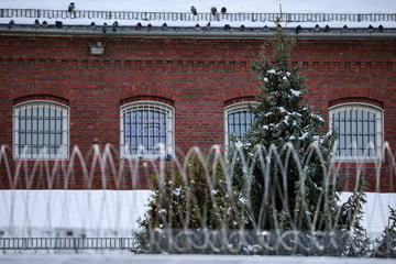 Gnade zu Weihnachten: So viele Knackis kommen früher frei