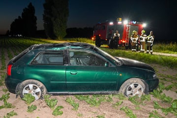 Audi kommt von Straße ab und überschlägt sich