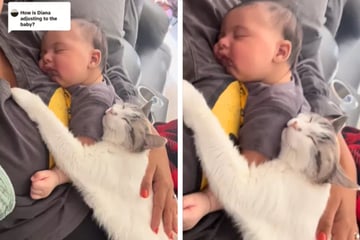 Cat has the most precious reaction to newborn human brother!