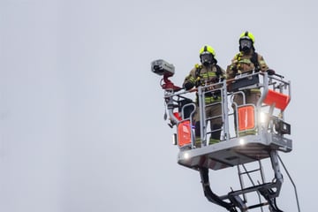 Seniorin sucht Katze und löst Feuerwehreinsatz aus