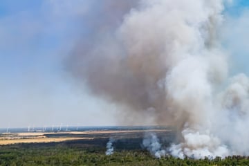 Waldbrand in der Gohrischheide breitet sich aus: Ganzer Ort wird evakuiert