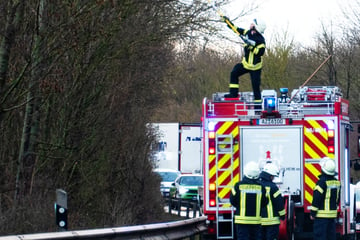 Alarm in Mainz: Sturm lässt Bäume stürzen und zertrümmert Dächer