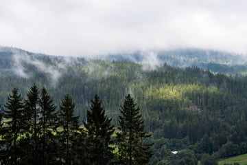 Frau bricht beim Wandern in Feldberg bewusstlos zusammen: Jegliche Hilfe kommt zu spät