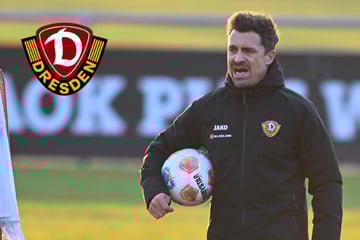 Dynamo-Dresden-Blog: Wann findet das öffentliche SGD-Training statt?