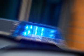 Fünfjährige verletzt! Rücksichtslose Frau attackiert Kindergartengruppe im Erzgebirge