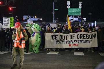 Portland judge blocks federal agents from teargassing ICE protesters in scorching ruling