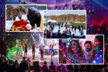 Chemnitz: Zwischen Stollen und Gans: Das könnt Ihr am 1. Weihnachtstag erleben