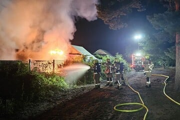 Berlin: Laube in Grunewald brennt lichterloh