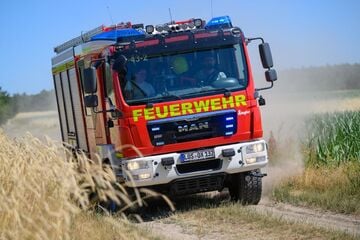 Erhöhte Waldbrandgefahr in Sachsen-Anhalt