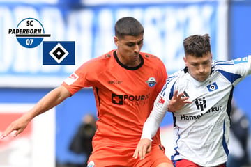 HSV zu Gast beim SC Paderborn: Heuer Fernandes und Muheim fit, Sahiti zurück