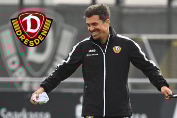 Klare Struktur statt Rotation! Jetzt hat Dynamo-Coach Stamm seine Stammelf