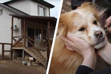 Besitzer verkaufen Haus in Ukraine: Was sie ihrem Hund dann antun, bricht so vielen das Herz
