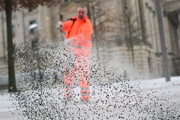 Leipzig: Nach dem Tauwetter: Was passiert jetzt mit dem ganzen Rollsplitt in Leipzig?