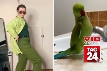 Viral Video of the Day for May 3, 2024: TikTok influencer gets bird brain dance inspo