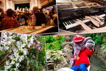 Dresden: 6 Erlebnis-Tipps für Deinen perfekten Sonntag!