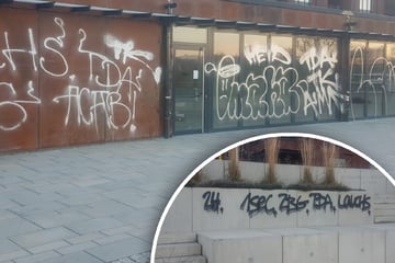 Dresden: Kopfgeld ausgesetzt: Riesiger Graffiti-Ärger in Dresdens Hafencity!