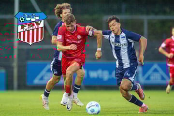 Halbes Dutzend Tore: Zwickau mit wildem Remis bei Hertha-Bubis
