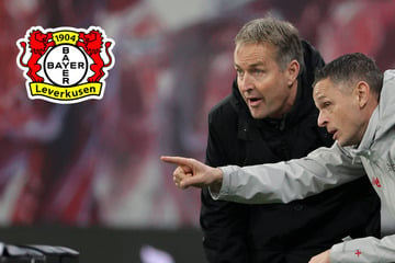 Abgang fix! Trainer verlässt Bayer 04 und übernimmt Sparta Rotterdam