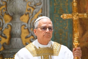 Pope Leo XIV's past remarks about LGBTQ+ community raise concerns