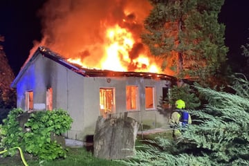 Berlin: Haus im Botanischen Volkspark in Flammen: War es Brandstiftung?