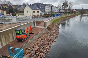 Nächster Abschnitt fertig: So geht es mit dem Hochwasserschutz an der Mulde weiter