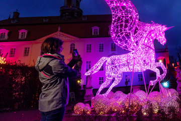 Chemnitz: Märchenhaft: In diesem Schlossgarten in Sachsen erstrahlen sagenhafte Licht-Figuren