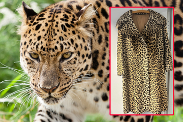 Zoll traut seinen Augen nicht: Italienerin trägt Mantel aus echtem Leopardenfell!