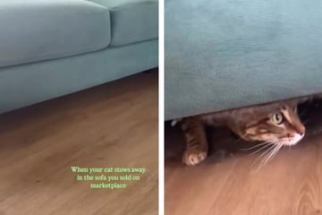 Frau verkauft Couch, dann erhält sie einen dringenden Anruf vom Käufer