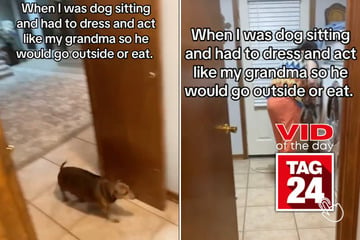 Viral Video of the Day for October 5, 2024: Dog won't listen unless dog sitter is dressed like grandma!