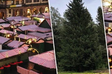 Leipzig: Ein 20 Meter hoher Sachse! Das ist Leipzigs Weihnachtsbaum 2024