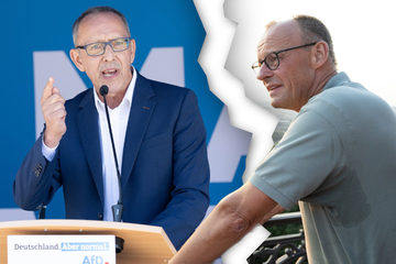 CDU-Boss Merz schließt Zusammenarbeit mit AfD in Sachsen aus: "Wir würden unsere Seele verkaufen!"