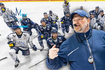 Eislöwen-Coach im Interview: "Bin wie ein Schwamm, versuche, alles aufzusaugen!"