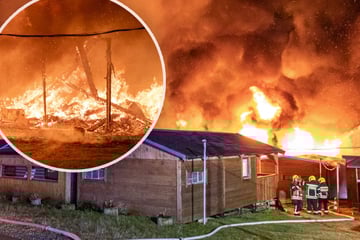 Feuerinferno im Erzgebirge: 20 Gartenlauben in Flammen!