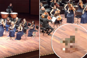 Orchester spielt Beethoven, doch dann stiehlt jemand den Musikern die Show