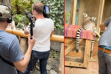 Neue Folgen von "Leopard, Seebär & Co."? In Hagenbeck wird gedreht