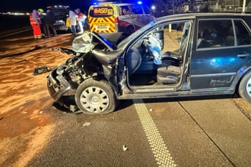 Schwerer Auffahrunfall in der Börde: Vier Verletzte