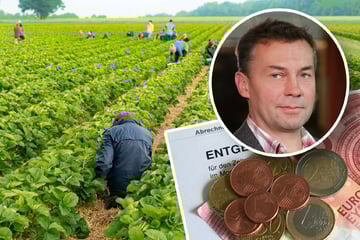 Anerkennung statt Ausbeutung! Gewerkschaft fordert faire Löhne für Erntehelfer