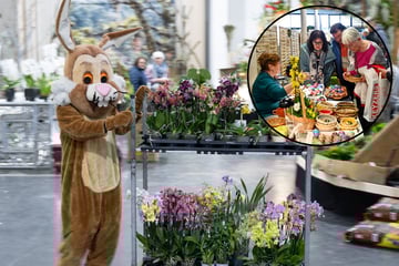 Dresden: Ostermesse stimmt uns ganz blumig auf die Feiertage ein