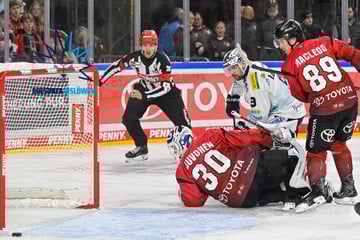 Dieses Jahr wird's nichts mehr! Wann kommt ein neuer Sportdirektor bei den Eislöwen?