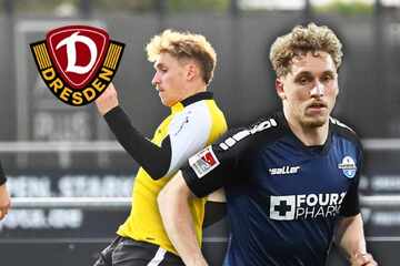 Dynamo-Rückkehrer Herrmann schwärmt von Ex-Klub Paderborn, aber kennt das Rezept zum Sieg