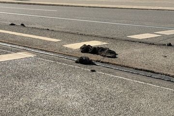 Stillstand wegen Sommerhitze: Ab Mittwoch fahren wieder mehr Straßenbahnen in Nürnberg