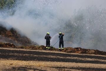 Brand auf zwei Hektar: Feld im Landkreis Greiz in Flammen