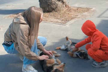 Junge hilft Welpen, die Mutter verloren haben: Nächster Schritt treibt ihm Tränen in die Augen