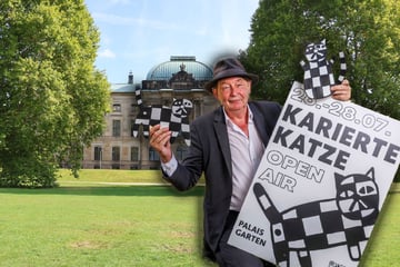 Dresden: 2025 noch extrem präsent in Dresden: Wo bleibt die Karierte Katze in diesem Jahr?