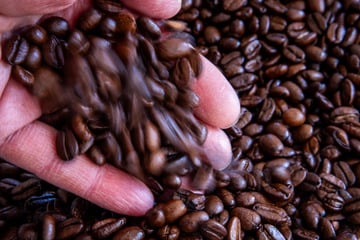 Zoff mit Tchibo: Hat Aldi seinen Bohnenkaffee verscherbelt?